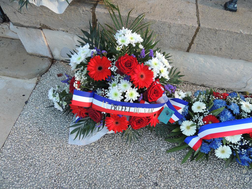 2022 12 05 TOULON HOMMAGE AUX MORTS POUR LA FRANCE EN AFN (8).JPG -           